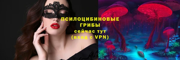 винт Касимов