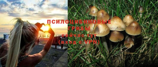 винт Касимов