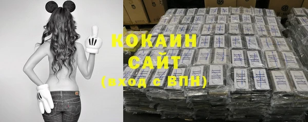 винт Касимов