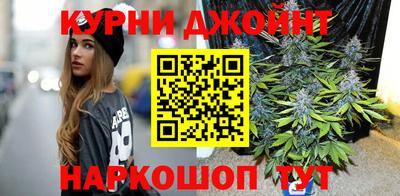 дмт Кингисепп