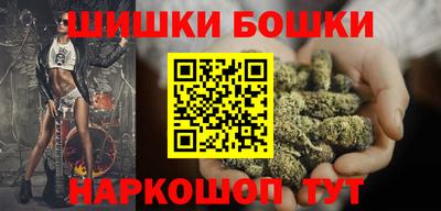 дмт Кингисепп