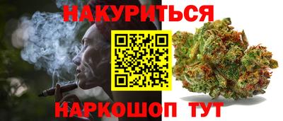 дмт Кингисепп