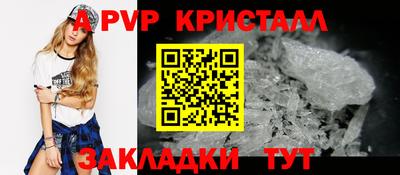 дмт Кингисепп