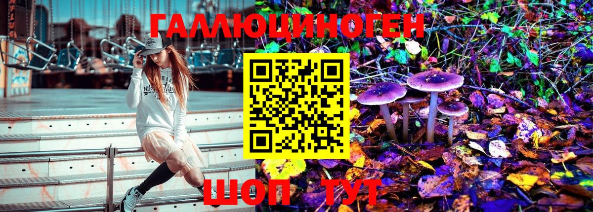 Галлюциногенные грибы прущие грибы Прокопьевск