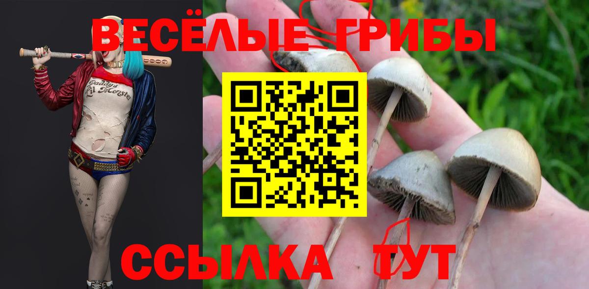 Псилоцибиновые грибы MAGIC MUSHROOMS  Галлюциногенные грибы Cubensis  Прокопьевск  купить  цена  Вход с VPN 